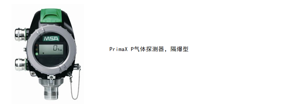 XP.png